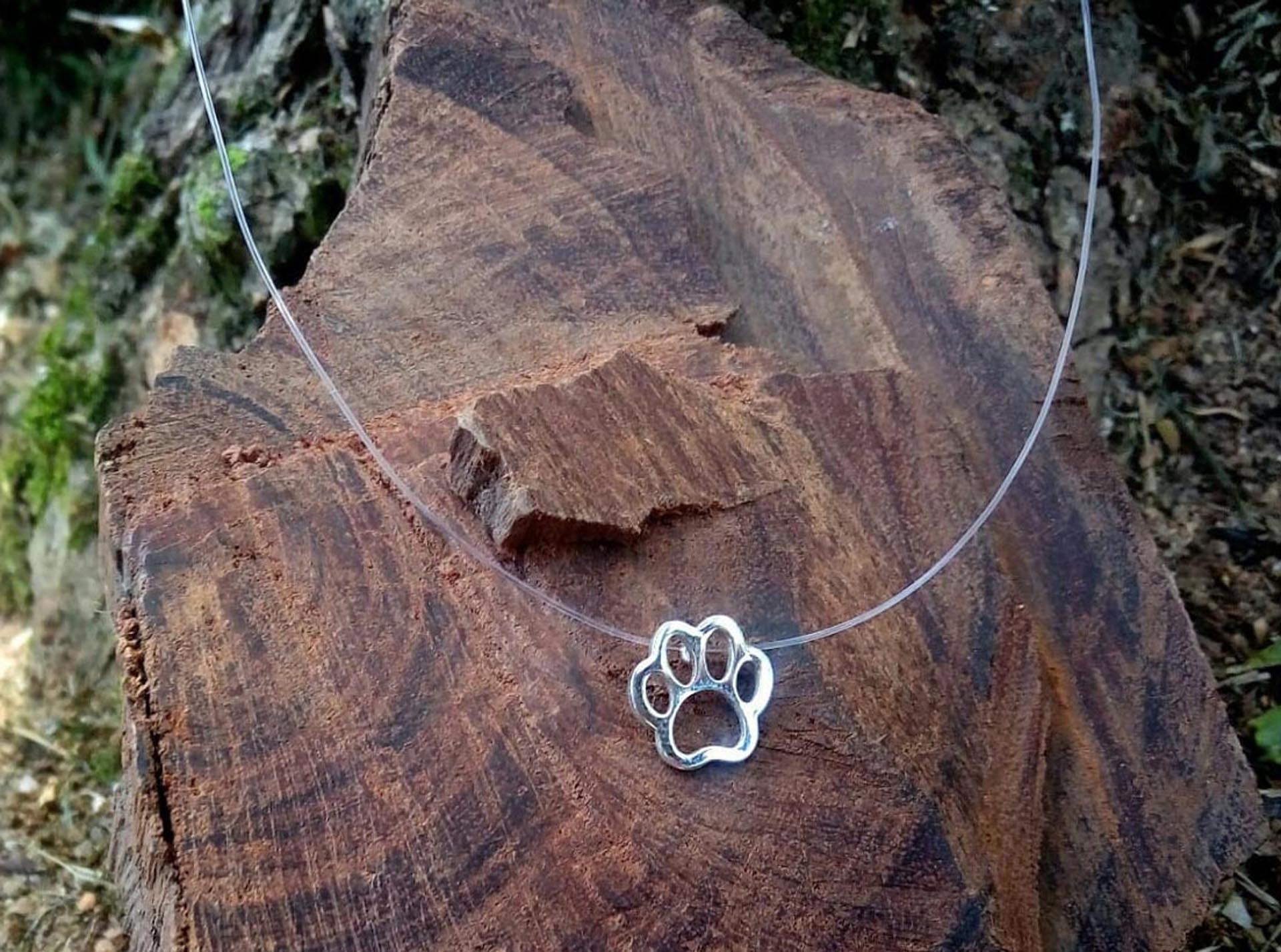 Ponto de Luz Pet - Imagem 2